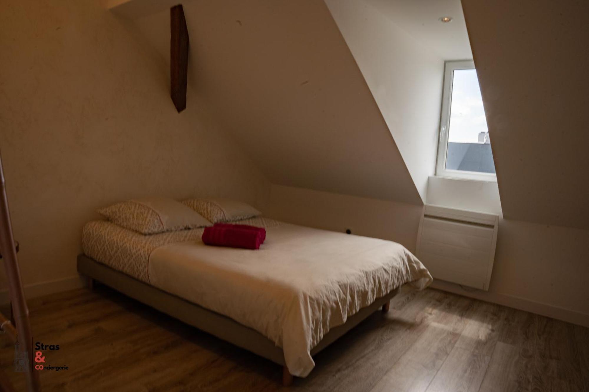 Belles Combles Alsaciennes Au Centre De Strasbourg Apartment Luaran gambar